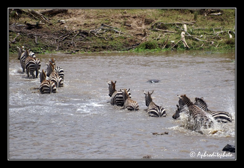 42 Safari Kenya